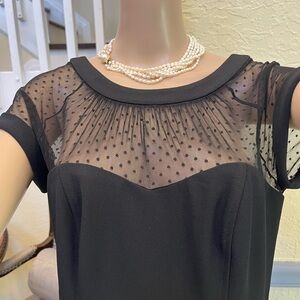 Elegant Black Sheer Polka Dot Dress